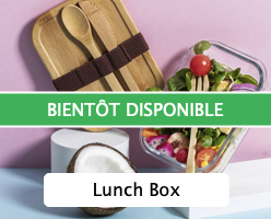 lunch box dispo